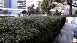 国产蜜桃精品在线,成人视频高清免费观看